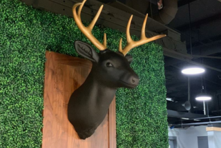 Faux Deer Head | Britten Foam3D Fauxidermy