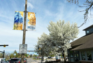Light pole banners advertising the Bayshore Marathon