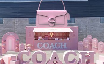 Coach Trailer Box Miami 002