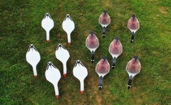 Rigid Top-Down Goose Decoys | High Quantity Printing