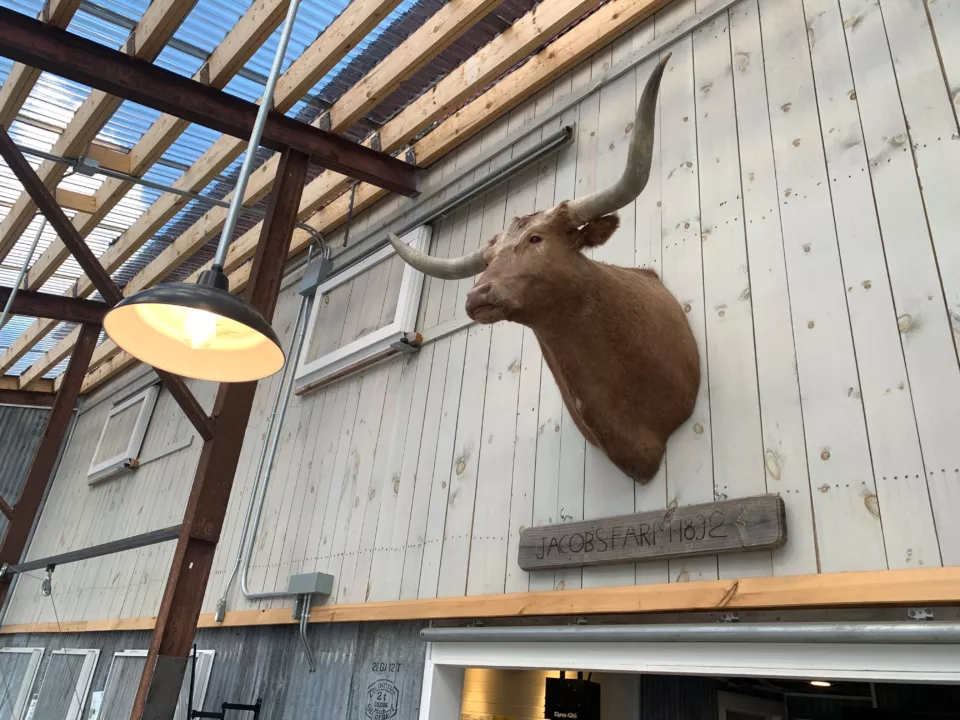 Jacobs Farm Aesthetics Image | Example Interior