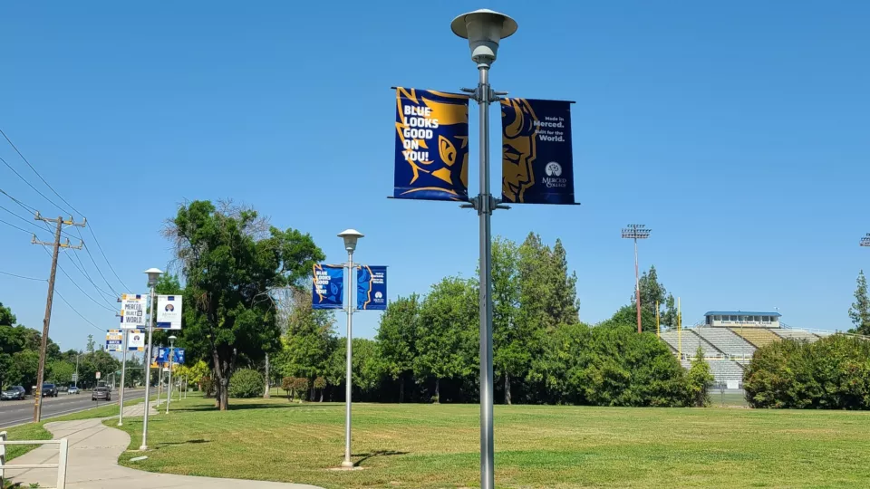 College Campus Light Pole Banners | BannerSaver Hardware for Pole Banners