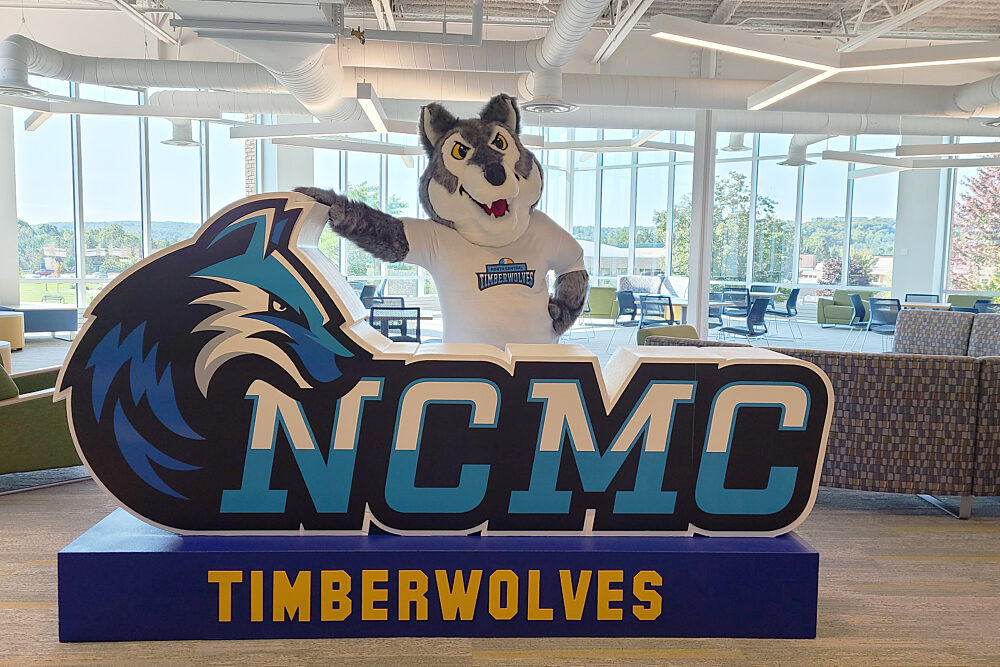 Foam3 D NCMC Timberwolves with Mascot