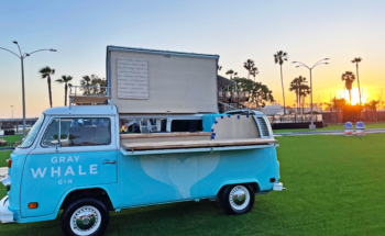 Gray Whale Gin VW Conversion Sunset