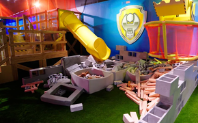 Paw patrol work area