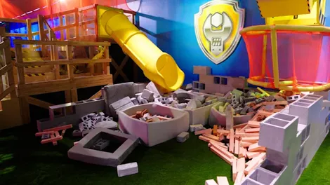 Paw patrol work area