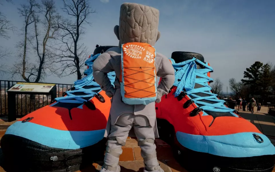 Vulcan Alabama Trails Foam Shoes Backpack
