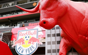 New York red Bulls Foam | Bull Sculpture
