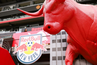 New York red Bulls Foam | Bull Sculpture